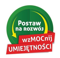 Zdjęcie artykułu Postaw na Rozwój Wzmocnij Umiejętności